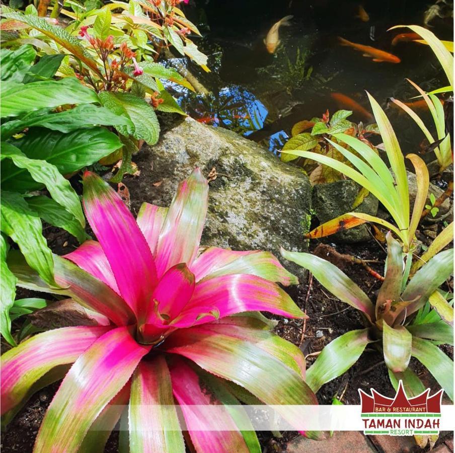 Taman Indah Resort Tamanredjo Eksteriør bilde