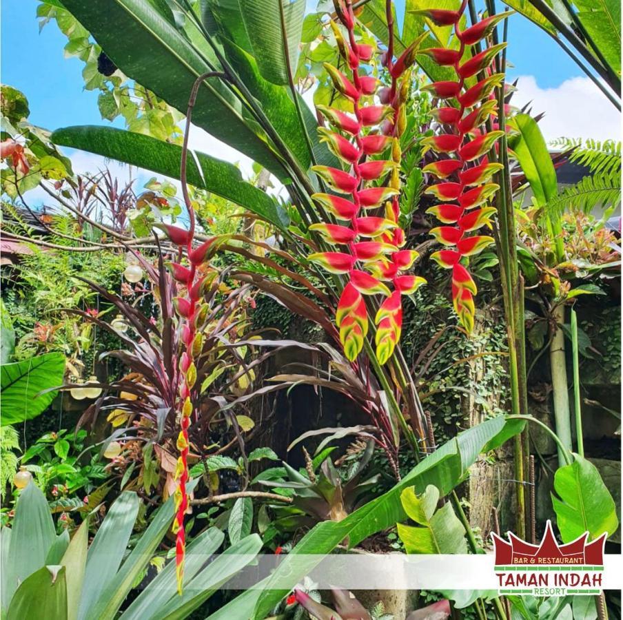 Taman Indah Resort Tamanredjo Eksteriør bilde