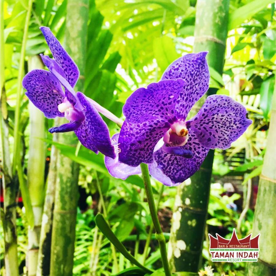 Taman Indah Resort Tamanredjo Eksteriør bilde